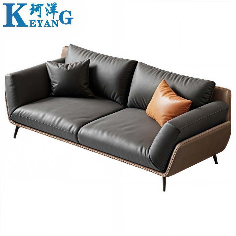 珂洋 洽谈沙发 双人位 张高清大图