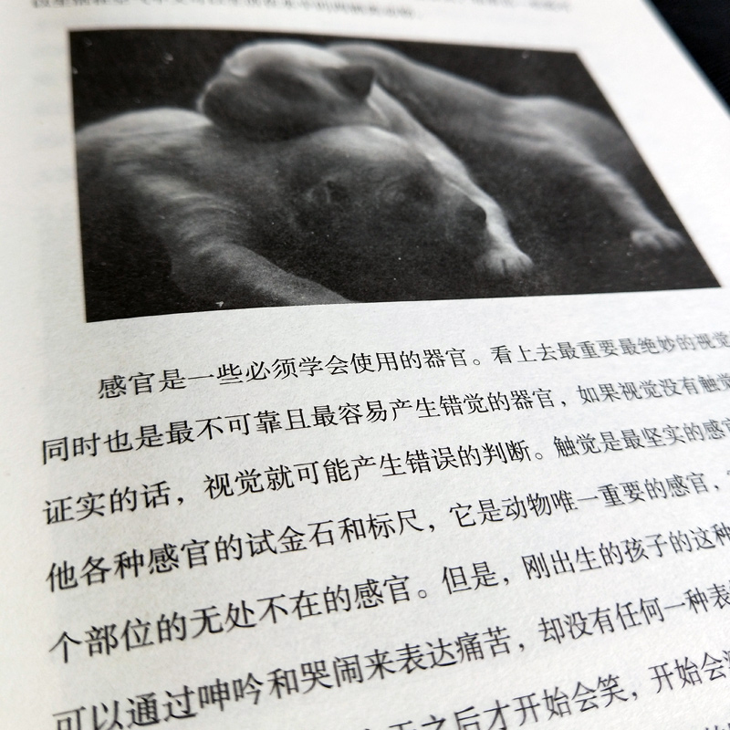 [正版]插图版世界经典科普读本 自然史 自然的发展了解地球生物人类起源与演变的通俗读本集科学性与文学性于一身的博物学名高清大图