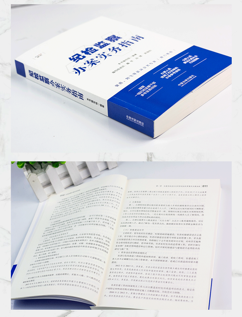 [正版]新纪检监察办案实务指南 纪检监察案件办案指南 职务违法犯罪案件风险防范法律实务 典型违纪案例纪检监察一本通 纪高清大图