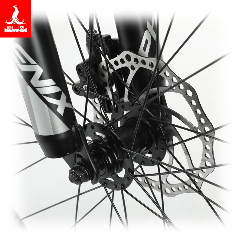 凤凰(PHOENIX) 21速26寸辐条轮山地自行车-霸道 灰绿高清大图