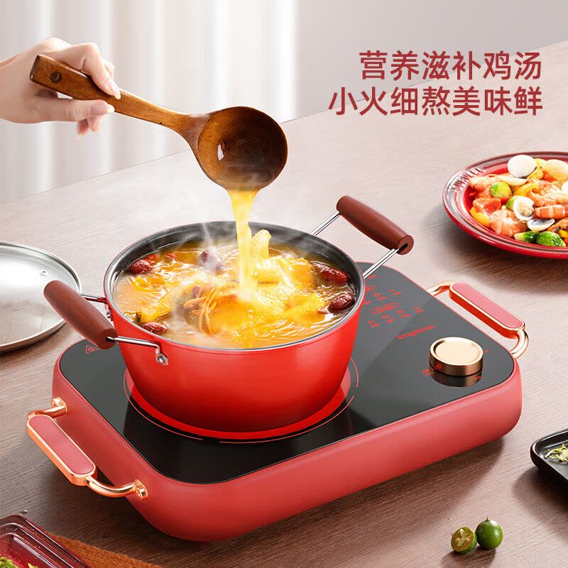 龙的(Longde)LD-DTL2282电陶炉家用电磁炉9档控温2200W大功率图片