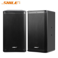 狮乐（SHILE）BX-110专业会议室培训音响 十英寸背景音乐家庭影院专业对箱木质无源音箱一对