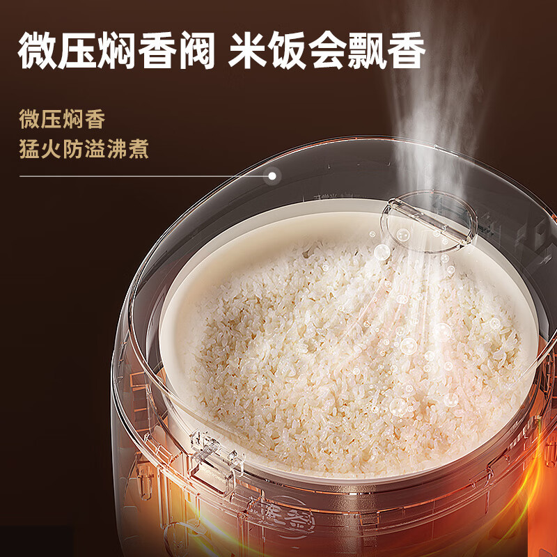 小熊(Bear)电饭煲 家用4-5人 多功能3L电饭锅 智能防溢预约 陶瓷油元釜微压柴火饭米饭锅 DFB-C30L3