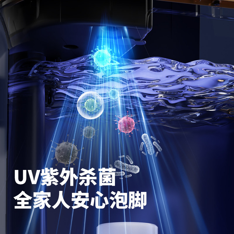 荣事达足浴器熏蒸机RSD-XZJ-001高清大图