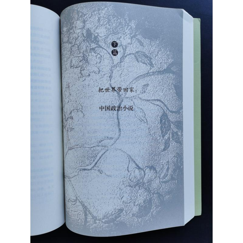醉染图书晚清政治小说 一种世界文学类型的迁移9787108064967高清大图