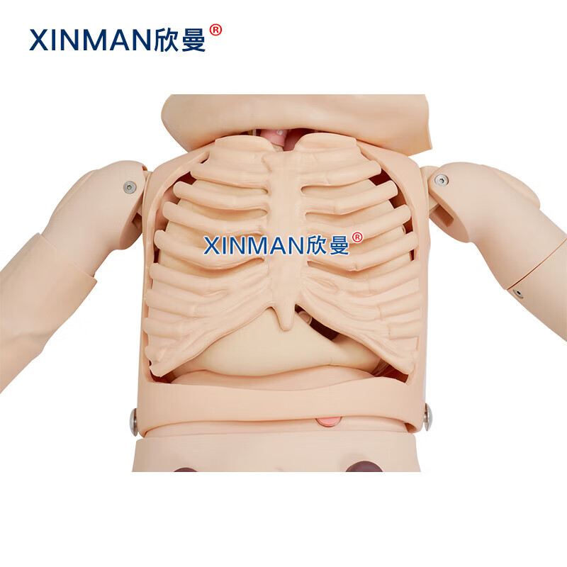 欣曼科教 高级成人护理及CPR模拟人 全功能护理人模型XM-HL3000高清大图