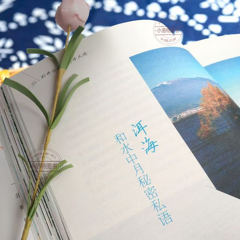 别样云南别样风情 [正版]《别样云南别样风情》旅游攻略指南自驾游图说天下国家地理系列旅游景点 自然与文化景观山水风景民俗高清大图