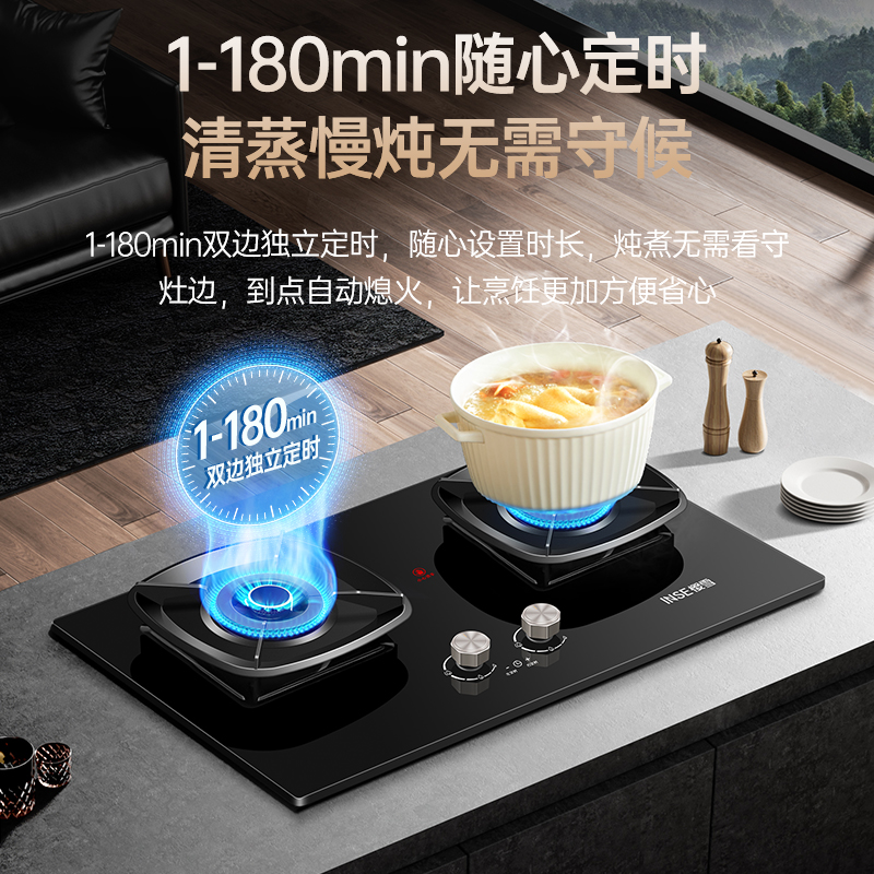 樱雪INSE燃气灶天然气双灶具 家用5.2kW定时聚能猛火灶灶台嵌两用 70%高热效可调节底盘Q8D高清大图
