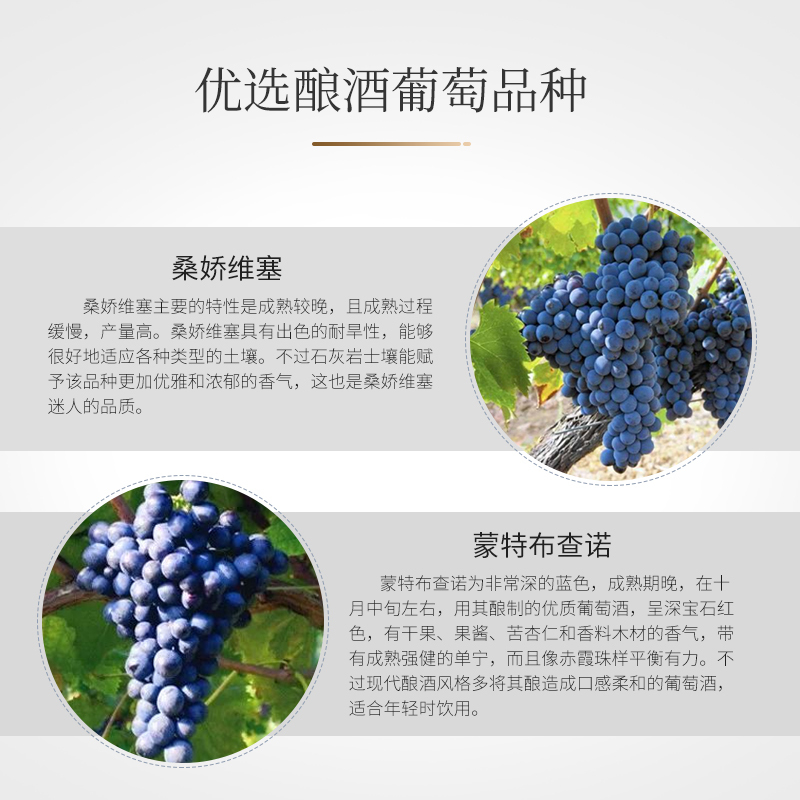 意大利原瓶进口普利亚干红葡萄酒桑娇维塞蒙特布低酒精查诺品种(1瓶哦)