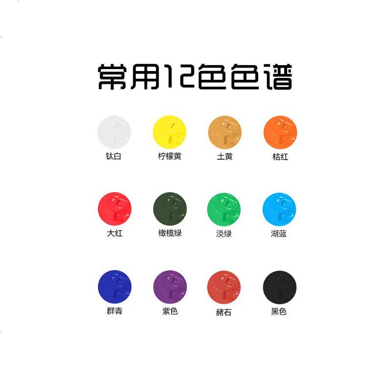 丙烯颜料套装纺织颜料防水画鞋diy手绘涂鸦材料墙绘专用彩 常用12色 100毫升图片