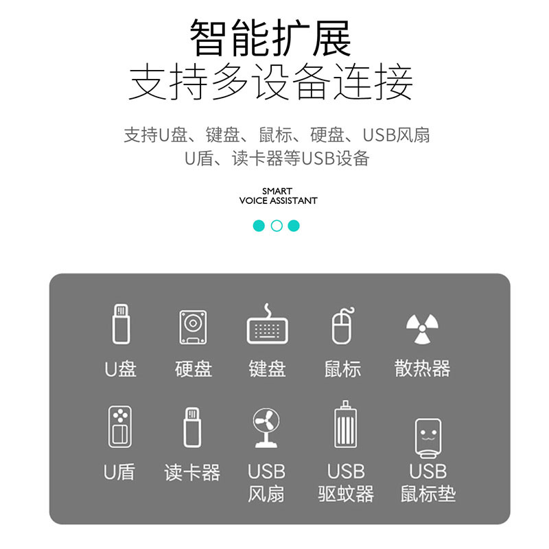 嗨说呗AI智能语音识别 LHY 常规款 B2B商品 100起订