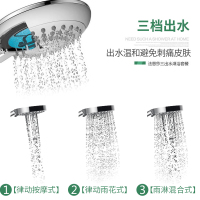法恩莎卫浴大力神马桶坐便器FB16127软硅胶3出水精铜主体花洒套装