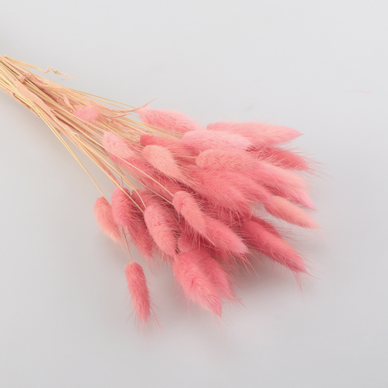 彩色狗尾巴天然干花客厅花盆花瓶仿真花永生花 狗尾巴草粉色(约50支)