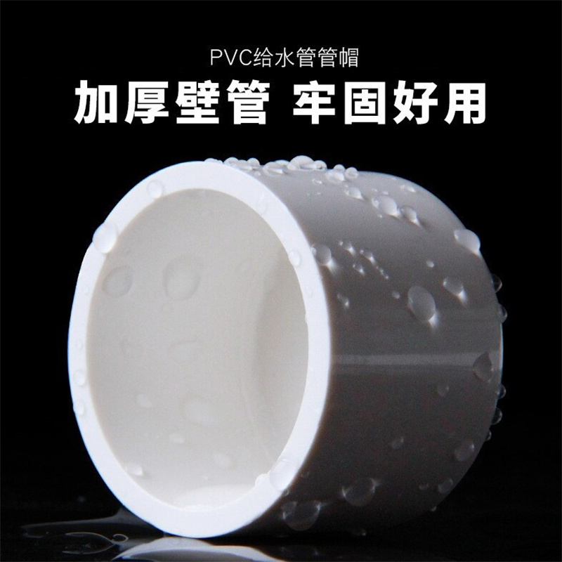 联益(LUEN YICK) pvc管帽头闷头盖子管头6分 25mm pvc塑料给水管件管道配件 10个装高清大图