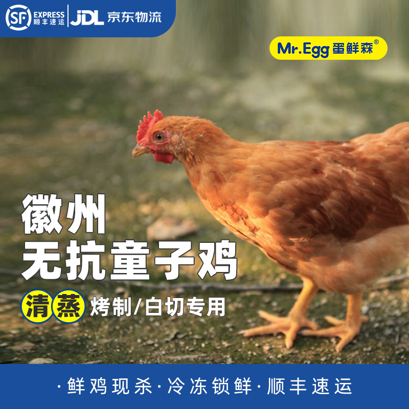 蛋鲜森 徽州童子鸡 整鸡 0激素·0抗生素·0重金属残留 1000g±50g/只