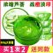 []芦荟胶补水保湿美白祛痘淡印学生去疤霜晒后修复 [只发1瓶芦荟胶]300g