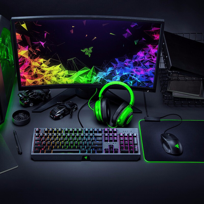 雷蛇(Razer)黑寡妇蜘蛛 机械键盘 绿轴 有线键盘 游戏键盘 电竞吃鸡键盘 幻彩版