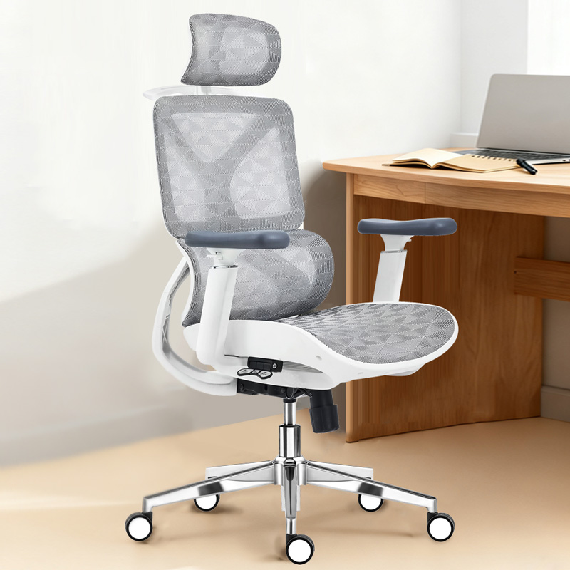 臻远 ZY-8936 办公椅人体工学椅转椅 白框 单位:把高清大图