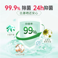 SukGarden蔬果园青蒿除菌内衣洗衣液500g(单位:瓶)