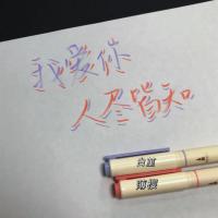 827彩色柔绘笔软头画画brush秀丽笔手账涂鸦书法做笔记