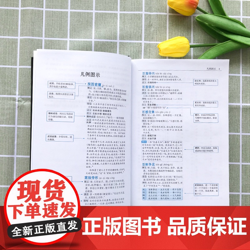 新版成语大词典正版大成语词典字典大全带解释初中生高中生小学生专用中国成语积累大全训练小学生新华成语词典现代汉语非最新版高清大图