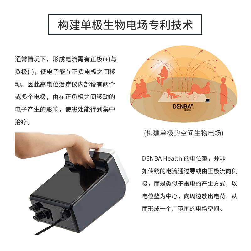 DENBA Charge电源线生物电场发生器设备附件