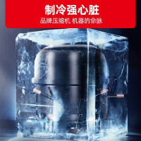 星星(XINGX)LSC-310YPE 299升 立式冰柜 保鲜柜 饮料柜 商用冷藏展示柜 商店超市便利店
