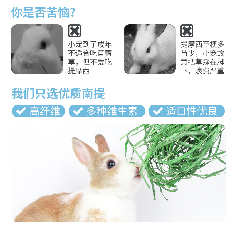 澳洲南提烘干优质提摩西1LB饲料兔子龙猫荷兰猪粮食牧高清大图
