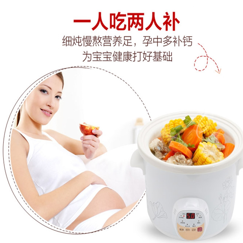 纳丽雅电炖锅全自动煲汤锅熬煮粥锅煮粥神器陶瓷电炖锅