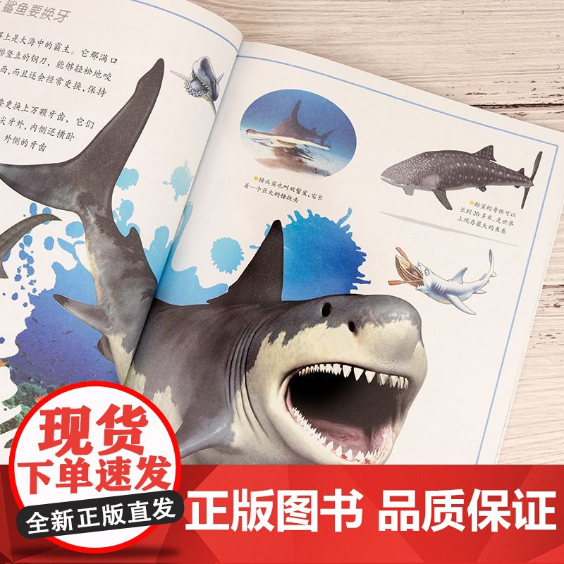 儿童探秘小百科青少年百科全书大百科儿童趣味百科全书万物探索自然大百科动物科普书籍适合小学生看的课外书全书揭秘科学现象正版高清大图