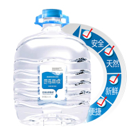 巴马丽琅长绿山神仙泉11.3Lx1瓶/箱 巴马活性矿泉水