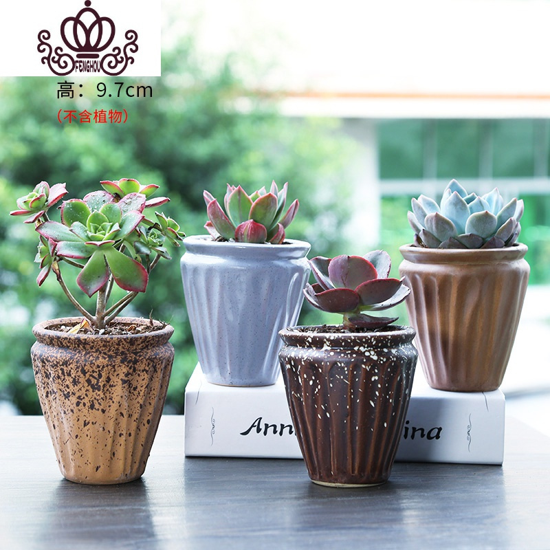 封后 Fenghou 园艺用品封后破口陶瓷多肉植物肉肉透气透水粗陶紫砂大高花盆小盆栽大尊享老桩盆随机四个中等花盆容器 价格图片品牌报价 苏宁易购战狼家居专营店