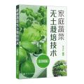 家庭蔬菜无土栽培技术(彩图版)