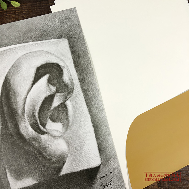 [醉染正版]俞建国高清素描临摹单片组合素描五官 素描临本赠素描纸 大开单片15幅高清放大素描石膏五官临摹素描头像素描绘画高清大图