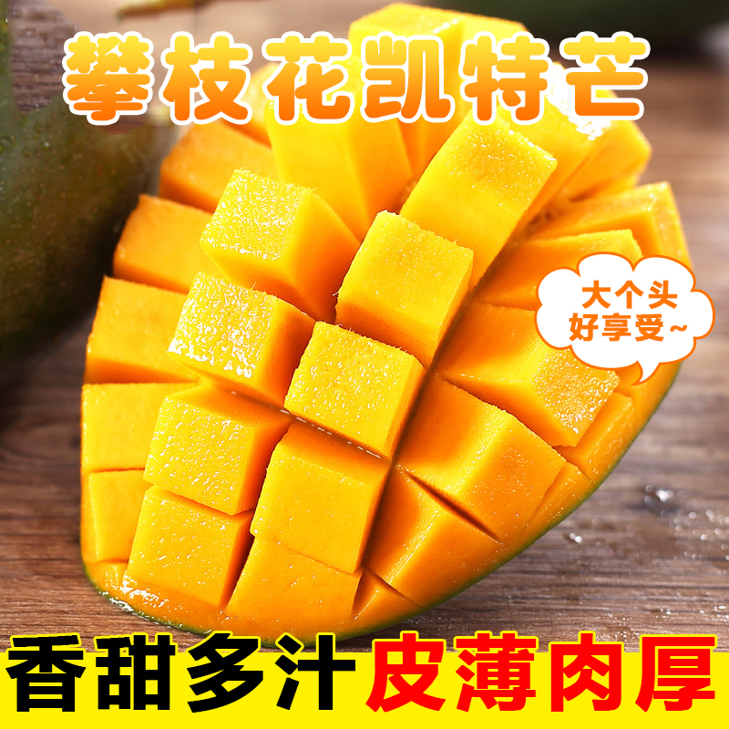 [熊猫鸟]精选攀枝花凯特芒 3斤 中果 单果400g以上 当季新鲜 热带水果