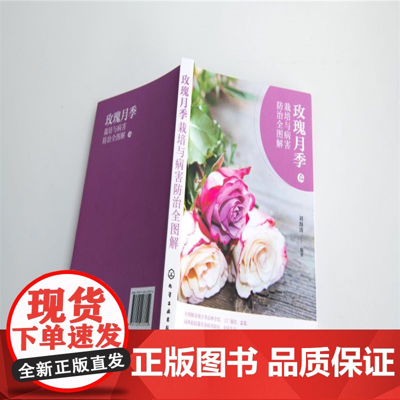 玫瑰月季栽培与病害防治全图解高清大图