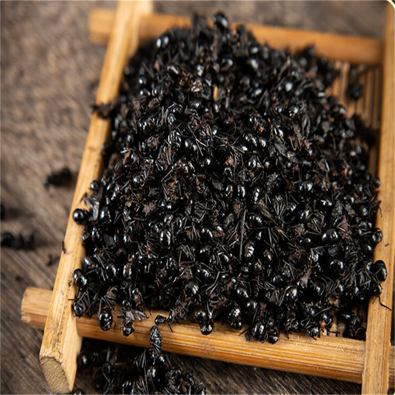 黑蚂蚁500g正宗大黑蚂蚁红蚂蚁食用养生黑蚂蚁泡酒料散装可磨粉高清大图