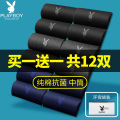 花花公子袜子男士冬季100%纯棉抗菌中筒袜男生全棉黑色长袜吸汗D袜