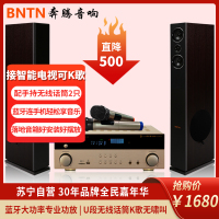 奔腾(BNTN)套装家庭影院ktv音响落地式 电视卡拉OK组合音响2.0声道 蓝牙838功放配时尚1号主音箱2只