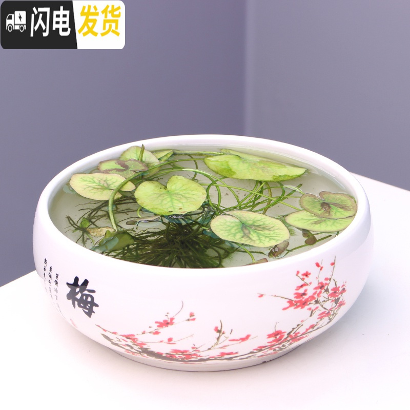 三维工匠无孔大号铜钱花盆 陶瓷 中国风绿萝碗睡莲水培植物水仙花盆 水培.韵棋 中等花盆容器