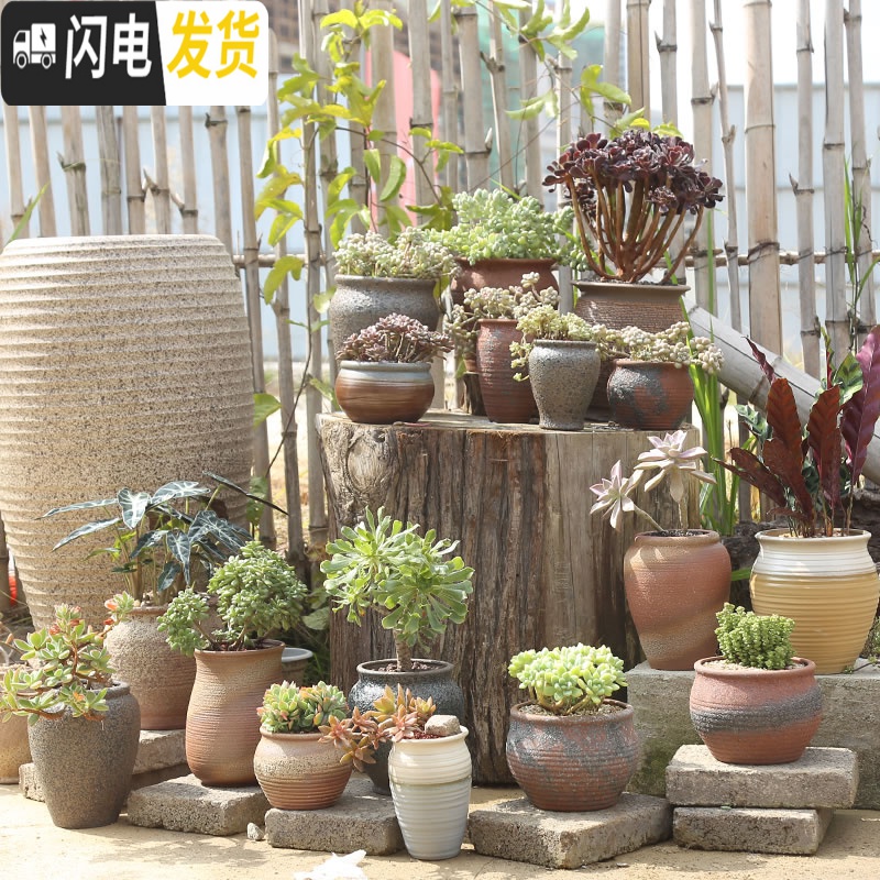 三维工匠多肉花盆创意个性复古粗陶小老桩盆大口径肉植物陶瓷 款13 中小花盆容器高清大图