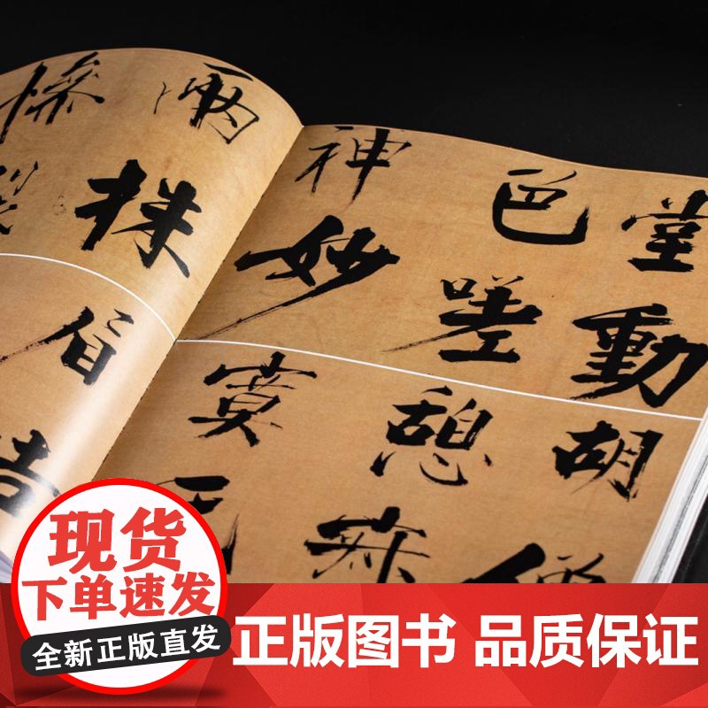 浙江书法大系宋代卷 中国美术学院浙江省博物馆西冷印社编沈乐平上海书画出版社高清大图