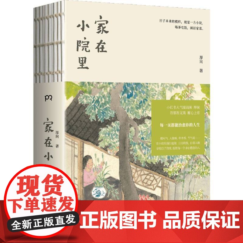 家在小院里 小红书人气绘画博主厚闲治愈系图文集 抚慰人心的烟火气 老街小巷的人情味 回不去的旧时光 绘画随笔高清大图
