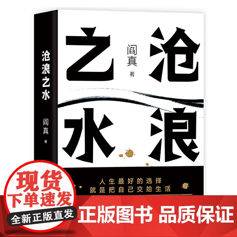 沧浪之水 阎真著 经典官场小说现当代小说 活着之上短篇长篇小说官场职场书籍排行榜茅盾文学奖提名高清大图