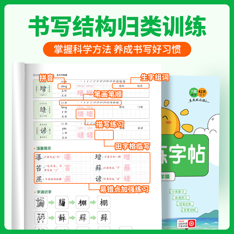 暑假练字帖 四升五 [正版]2024新版阳光同学暑假练字帖一升二升三升四升五升六年级上下册衔接语文人教版暑假作业控笔专项