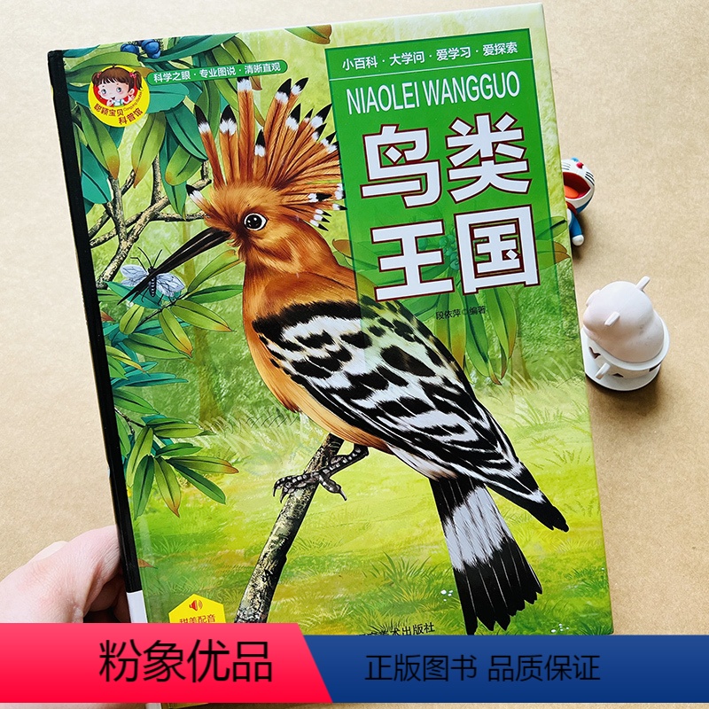 鸟类王国 【正版】有声读物鸟类王国鸟类书籍大百科科普画册关于小鸟的书鸵鸟火烈鸟巨嘴鸟孔雀天鹅幼儿早教图片绘本动物世界儿童