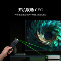 雷鸟雀4 25款43英寸4K 高清智能网络WiFi语音低蓝光认证液晶平板电视机43F195C