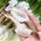 桂之海北海野生大风尾虾250g*3包鲜活去头开背蝴蝶虾新鲜冷冻北部湾对虾厂地直销