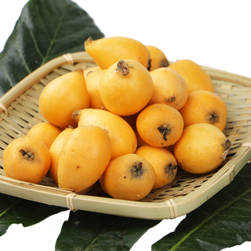 陈小四水果 新鲜枇杷 现摘现发 3斤中果 20-30g 新鲜水果 生鲜水果
