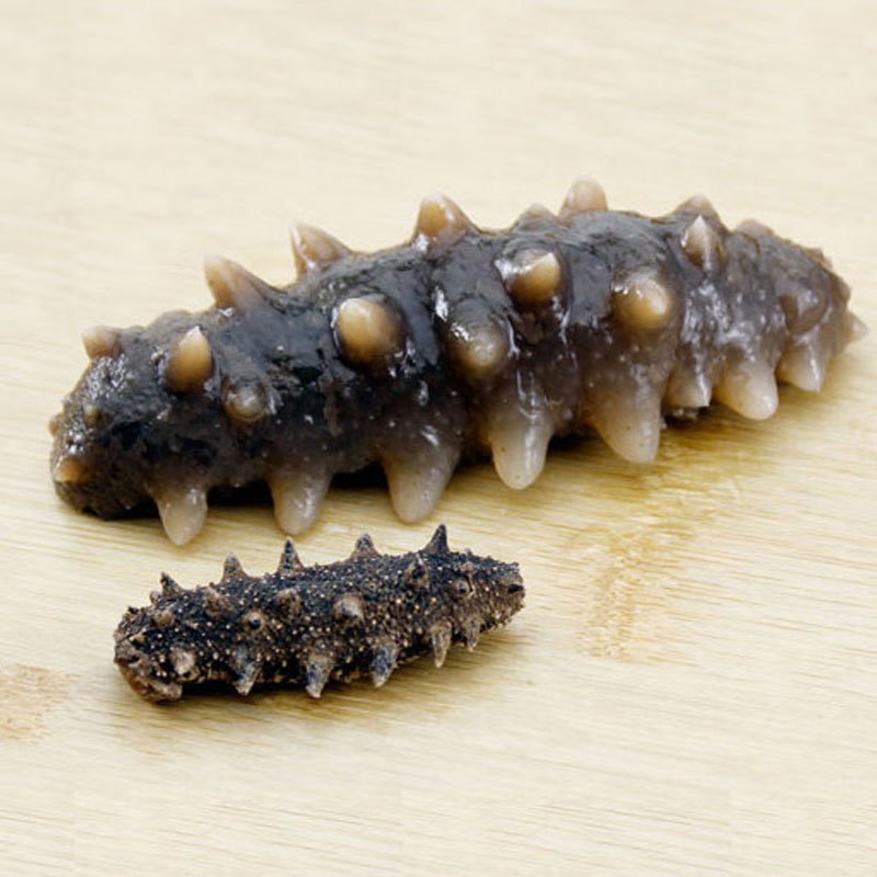 宫品单只淡干小海参家用3.5-3.8cm 1只 每满20只赠1只国产简装盒装